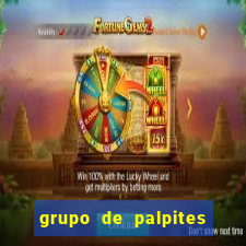 grupo de palpites de futebol whatsapp